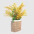 Yellow Flowers Arrangement in Textured Beige Square Vase with Green Leaves