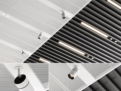 Modern Recessed Downlights And Spotlights Installed In Perforated White And Slat Black Ceilings 3d model