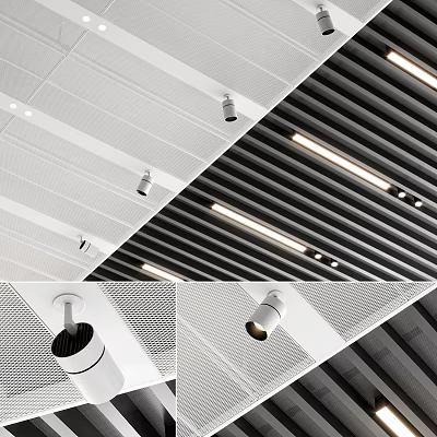 Modern Recessed Downlights And Spotlights Installed In Perforated White And Slat Black Ceilings 3d model