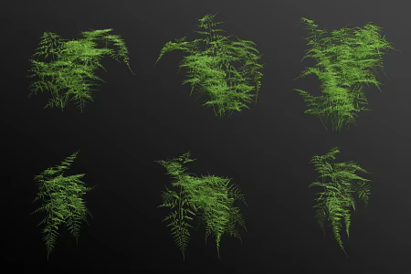 asparagus bamboo 3d model