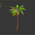 Green Palm Tree With Brown Trunk And Fresh Green Leaves On Gray Background