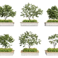 Multiple Rectangular Stone-edged Tree Planters With Green Trees And Lush Surrounding Shrubs 3d model