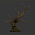 Natural Looking Stump Shaped Decorative Plant With Withered Branches And Green Base