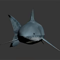 Realistic 3D Shark Model With Blue Transparent Texture Fins Tail And Gray Gradient Background