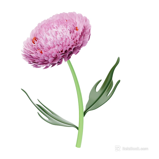 Pink Fluffy Flower With Green Stem And Fresh Green Leaves 3d model 