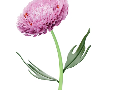 Pink Fluffy Flower With Green Stem And Fresh Green Leaves 3d model