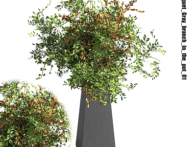 Elegant Decorative Ornament Set With Gray Clay Jar And Green Brown Leaves Plant 3d model