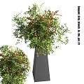 Elegant Decorative Ornament Set With Gray Clay Jar And Green Brown Leaves Plant