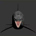 Realistic 3D Gray Dolphin Model With Open Mouth On Black Background 3d model