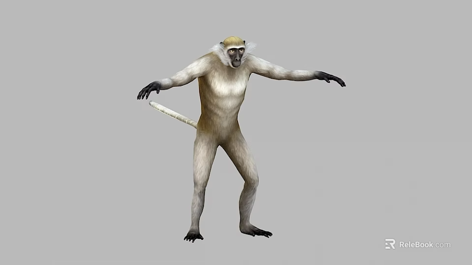 3D Monkey Model in Standing Pose With Yellow Head and Light Colored Body 3d model