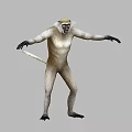 3D Monkey Model in Standing Pose With Yellow Head and Light Colored Body 3d model