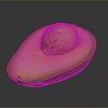 Fresh Halved Avocado With Green Skin Yellow Flesh And Brown Seed