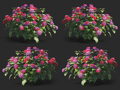 Colorful Flowering Plants With Red Purple Blooms And Green Leaves 3d model