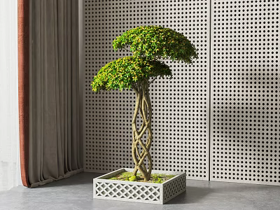 Indoor Bonsai Plant With Twisted Trunk Green Foliage In Square Hollowed Out Pot 3d model