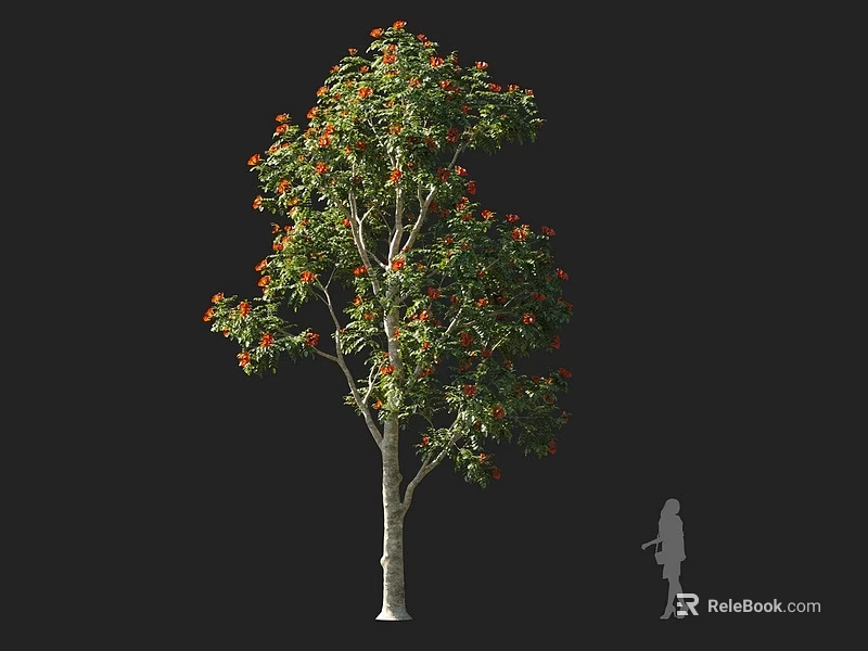 Tall Arbor With Green Leaves Orange Flowers And White Trunk Near Human Silhouette 3d model 