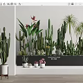 Potted Cacti and Succulent Plants for Indoor Decor with White Pots and Wall Planter