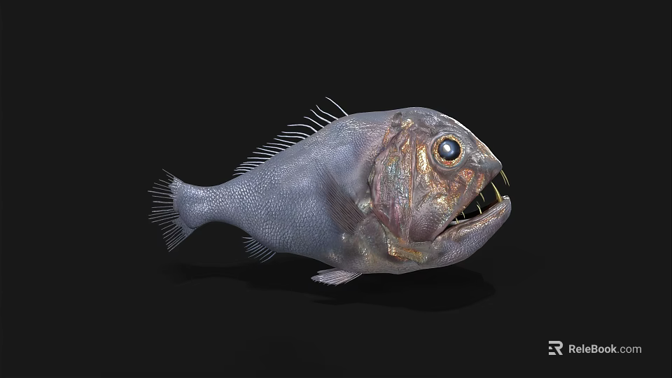 Deep Sea Aquatic Animal Fish With Large Eyes Sharp Teeth And Unique Grey Body 3d model 