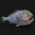 Deep Sea Aquatic Animal Fish With Large Eyes Sharp Teeth And Unique Grey Body