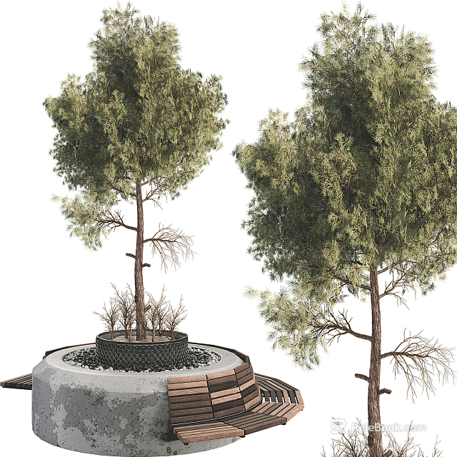 Circular Stone Tree Pit Design With Two Trees And Wooden Bench 3d model 