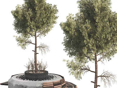 Circular Stone Tree Pit Design With Two Trees And Wooden Bench 3d model