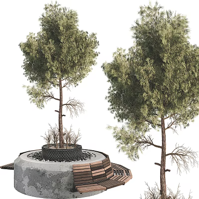 Circular Stone Tree Pit Design With Two Trees And Wooden Bench 3d model Circular Stone Tree Pit Design With Two Trees And Wooden Bench 3d model