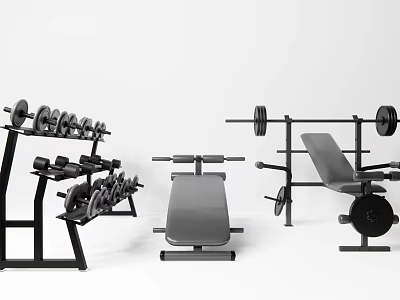 Home Gym Sports Equipment Set Including Dumbbells Barbell And Weight Bench 3d model