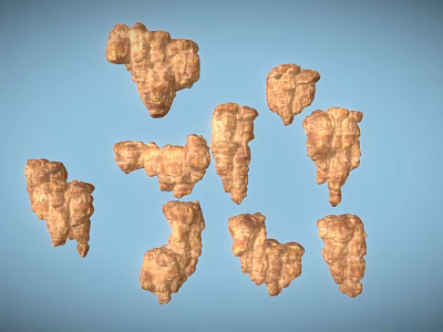 Irregular Shaped Wooden Stone Pieces in Light Brown with Light Blue Background 3d model