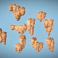 Irregular Shaped Wooden Stone Pieces in Light Brown with Light Blue Background