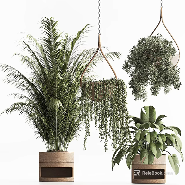 Shower Sauna Space With Lush Green Plants And Hanging Potted Greenery 3d model 