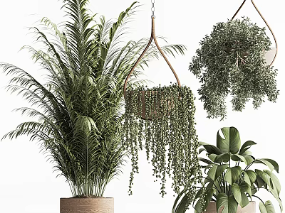 Shower Sauna Space With Lush Green Plants And Hanging Potted Greenery 3d model