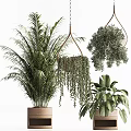 Shower Sauna Space With Lush Green Plants And Hanging Potted Greenery
