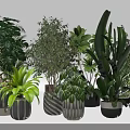 Various Green Indoor Potted Plants With Different Stylish Planters For Home Decor