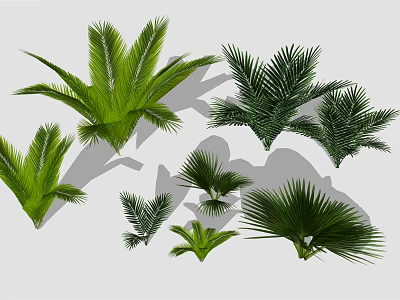 Green Palm Leaves Collection with Various Sizes and Shapes on White Background 3d model