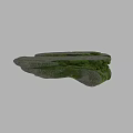 Natural Ground Cover With Green Moss On Textured Rocks In Natural Landscape