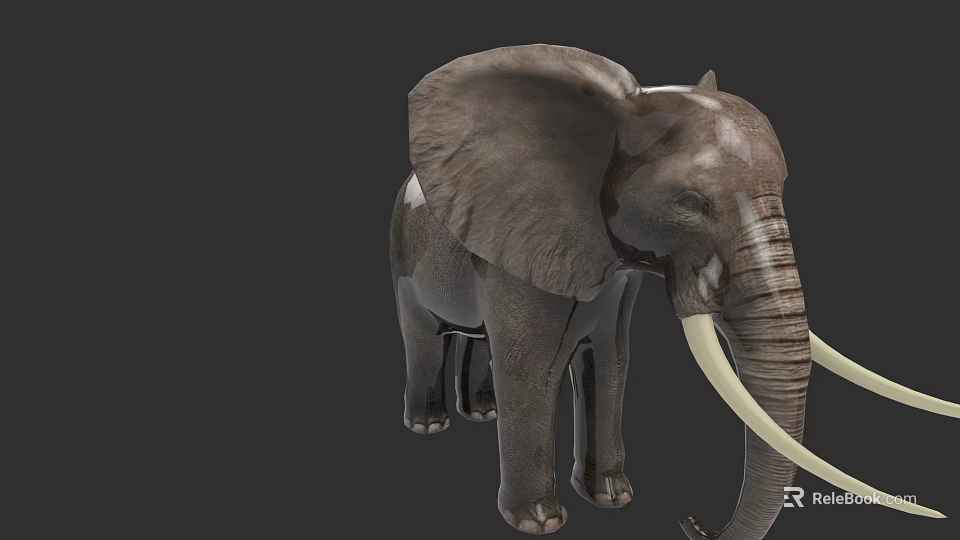 Realistic Gray Elephant With Large Ears And Long White Tusks Standing 3d model 