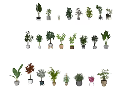 Various Bonsai Potted Plants With Different Greenery And Decorative Planters For Home 3d model