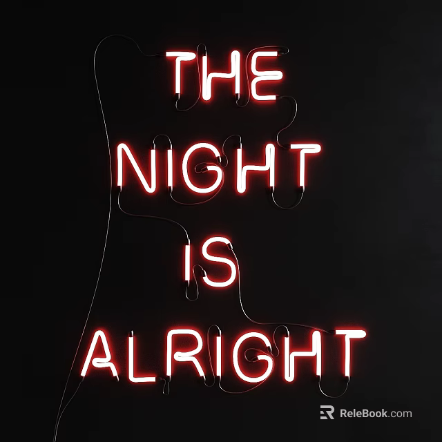 Red Neon Decorative Light Featuring THE NIGHT IS ALRIGHT Text Design on Black Background 3d model 
