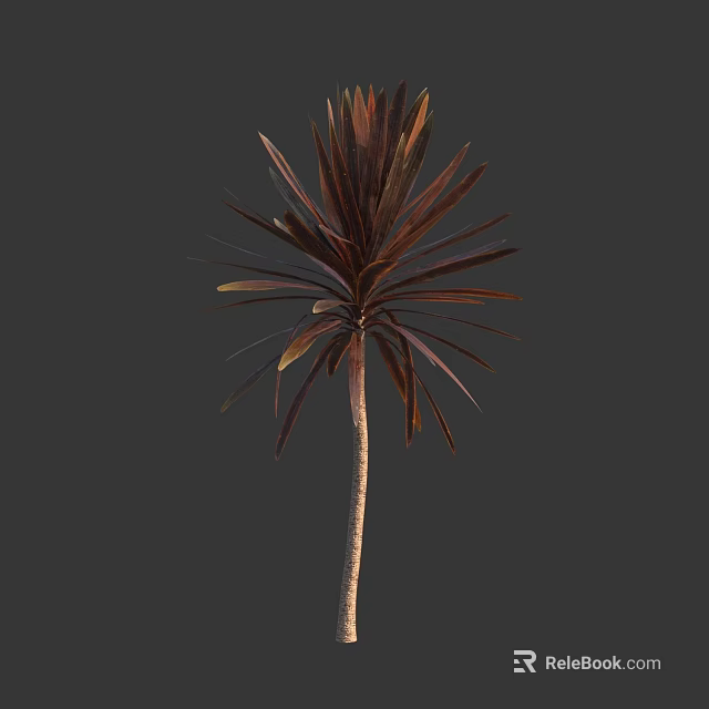 Tall Tropical Tree With Dark Red Long Leaves And Slender Trunk 3d model 