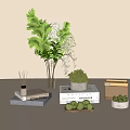 Minimalist Modern Decorative Ornament Set With Glass Vase Plants Books Storage Box And Green Fruits