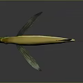 Yellow Fish With Green Wing Like Fins And Reflection On Gray Background