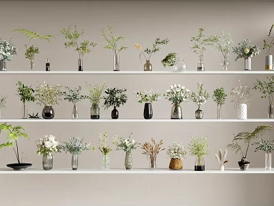 Bonsai Potted Plants on White Shelves for Indoor Decor with Various Green Plants and Flowers 3d model