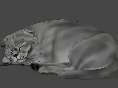 Small Gray Reptile Curled Up Sleeping Peacefully On Gray Background 3d model