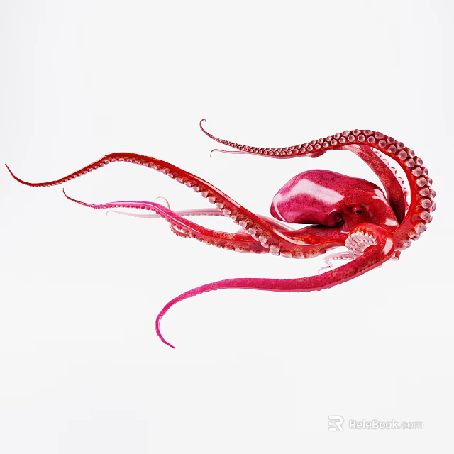 Vibrant Red And Pink Aquatic Animal Octopus With Long Tentacles And Suckers On White Background 3d model 
