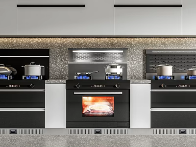 Modern Kitchen With Built in Ovens Stoves And Cookware On Countertops 3d model