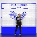 PEACEBIRD MEN Background Wall with White Brick Wall Blue Frame Grid and Wing Decoration