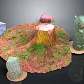 Natural Outdoor Decor Scene With Tree Stump Trunk Grass And Colorful Stones
