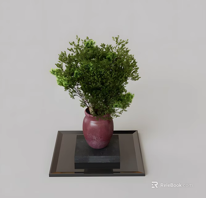Green Bonsai Plant in Purple Vase Placed on Black Tray for Home Decoration 3d model 