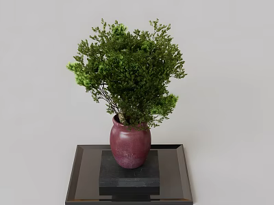 Green Bonsai Plant in Purple Vase Placed on Black Tray for Home Decoration 3d model