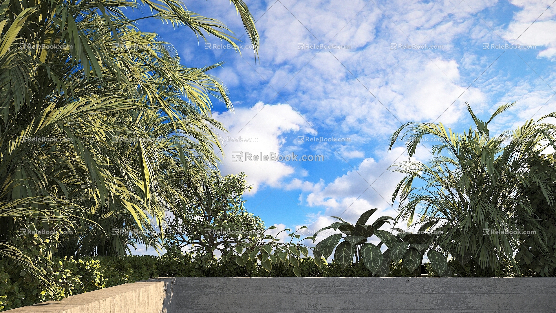 Modern shrubs 3d model