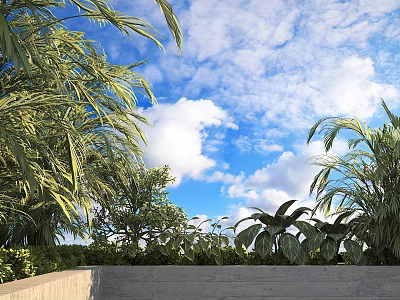 Shrub Outdoor Landscape Design With Lush Green Leaves And Blue Sky 3d model